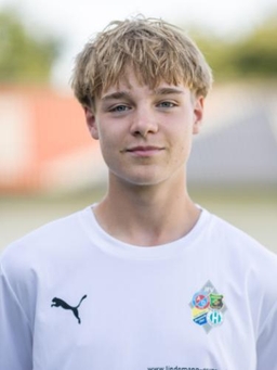 Avatar Bild für Niels Joris Volckmer