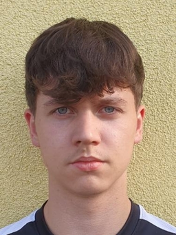 Avatar Bild für Henry von Tycowicz