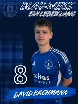 Avatar Bild für David Richard Bachmann