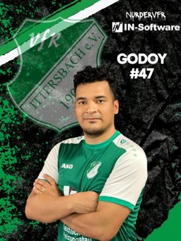 Avatar Bild für Luis Rodolfo Godoy Naranjo