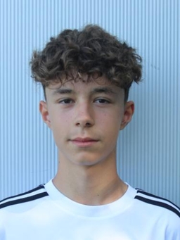 Avatar Bild für Aron Halili