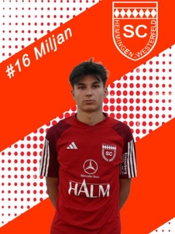 Avatar Bild für Miljan Savic