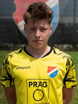 Avatar Bild für Ludwig Holz