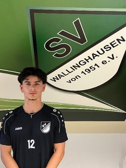 Avatar Bild für Ilja Apostolakoudis