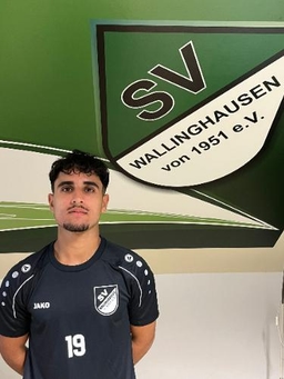 Avatar Bild für Ali Awada