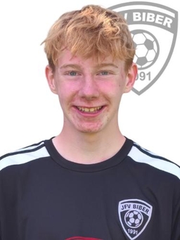 Avatar Bild für Henri Hasloop