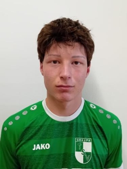 Avatar Bild für Raphael Friedrich