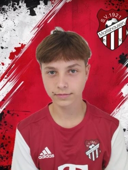 Avatar Bild für Hannes Kirchheim