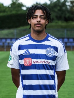 Avatar Bild für Louis Günter Halfes Meis