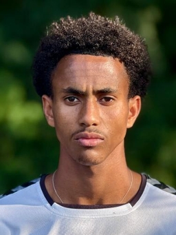 Avatar Bild für Merhawi Msgna Rezene