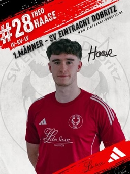 Avatar Bild für Theo Haase