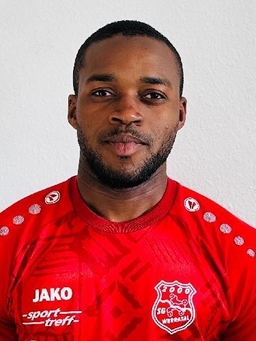 Avatar Bild für Mohamed Lamine Mansour Camara