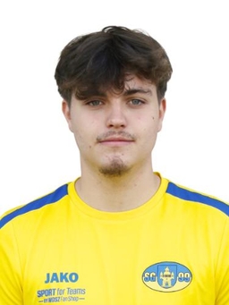 Avatar Bild für Linus Henning