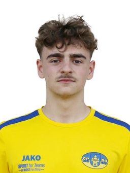 Avatar Bild für Willy Tschiedel