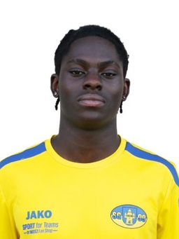 Avatar Bild für Chukwu Emeka Curtis Brown Nsoh Nwoye