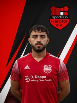 Avatar Bild für Ilhan Pepic