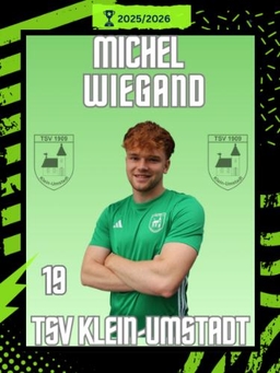 Avatar Bild für Michel Wiegand