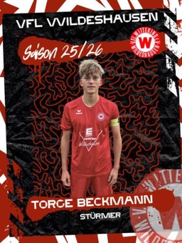 Avatar Bild für Torge Beckmann