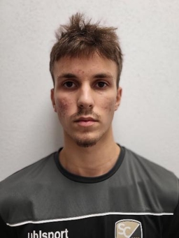 Avatar Bild für Alem Torlakovic