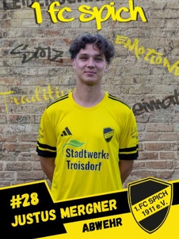 Avatar Bild für Justus Louis Mergner