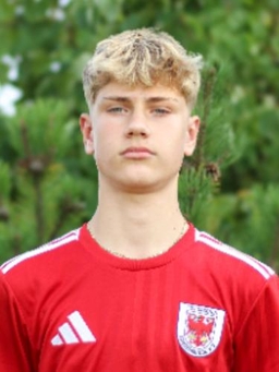 Avatar Bild für Vince Bos