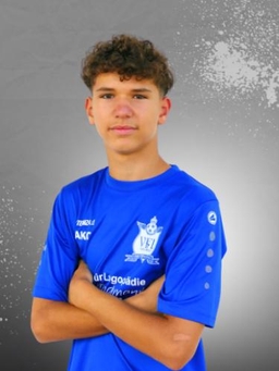 Avatar Bild für Alban Collaku