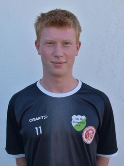 Avatar Bild für Tobias Moses