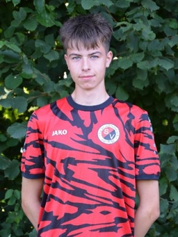 Avatar Bild für Henrik Schucht