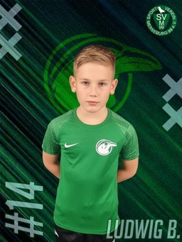 Avatar Bild für Ludwig Wilhelm Burghard