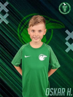 Avatar Bild für Oskar Honisch