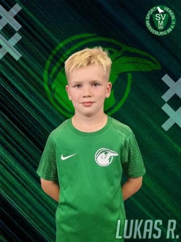 Avatar Bild für Lukas Ringmayer