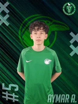 Avatar Bild für Amyar Arkan Akram