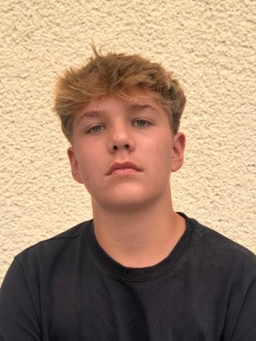 Avatar Bild für Emil Hartmann