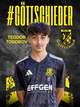 Avatar Bild für Teodor Todorov Todorov