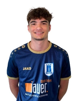 Avatar Bild für Niko Jakovljevic