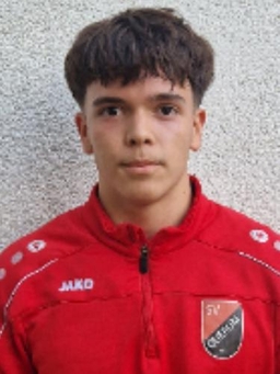 Avatar Bild für Louis Oliveira