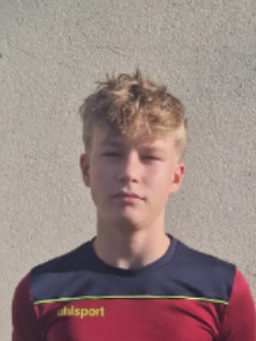 Avatar Bild für Hermann Springmann