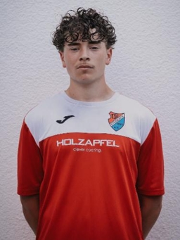 Avatar Bild für Fabio Sechi