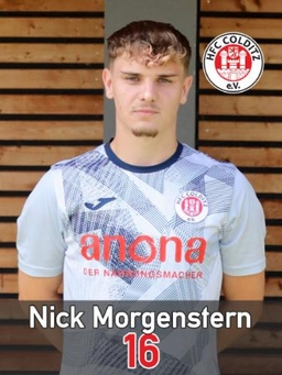 Avatar Bild für Nick Morgenstern