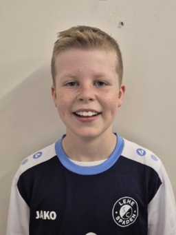 Avatar Bild für Theo Höljes