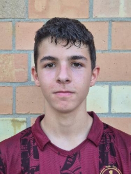 Avatar Bild für Tyler Wilhelm Klein