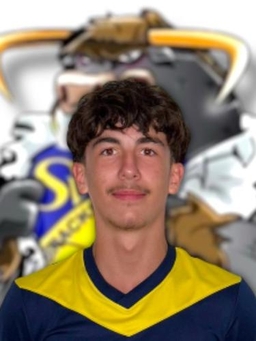 Avatar Bild für Luis Felipe Silva Bohr