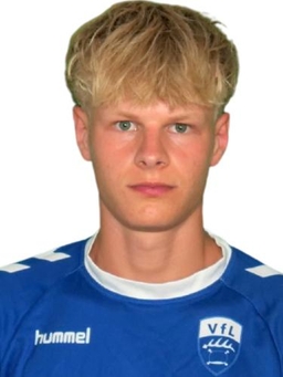 Avatar Bild für Henri Bilger