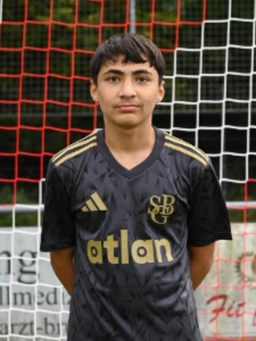 Avatar Bild für Hossain Fadaii