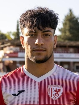 Avatar Bild für Ali Akbar Borzoo