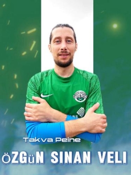 Avatar Bild für Sinan Veli Özgün