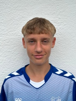 Avatar Bild für Loris de Vries