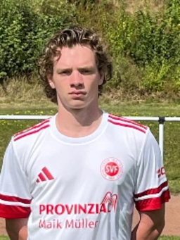 Avatar Bild für Milan Heuvel