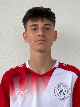 Avatar Bild für Louis Stöckl