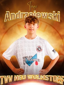 Avatar Bild für Thiago Andrzejewski